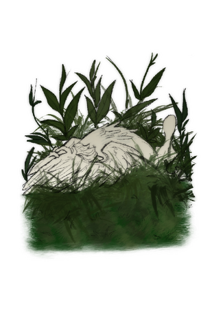 Illustration for one of the chapters from the book "A boy with feathers"